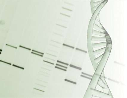 مطالعه مکانیسمی را که قبلاً ناشناخته بود برای تا شدن DNA نشان می دهد