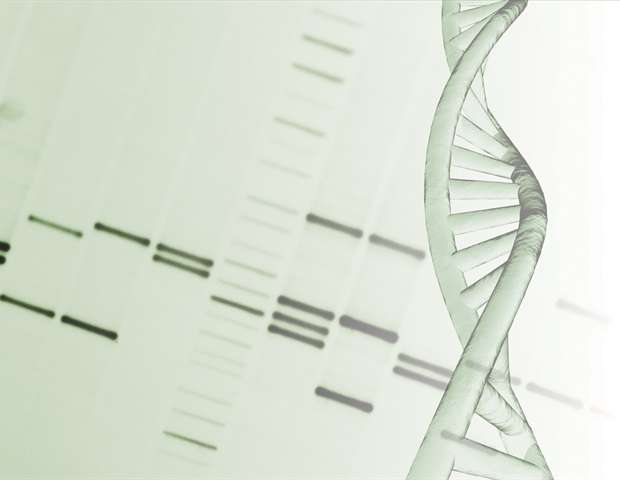مطالعه مکانیسمی را که قبلاً ناشناخته بود برای تا شدن DNA نشان می دهد
