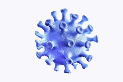 Study: Virological characteristics of the SARS-CoV-2 XBB variant derived from recombination of two Omicron subvariants. Image Credit: Kichigin / Shutterstock.com