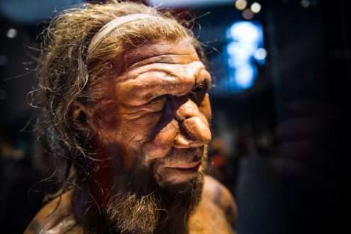 Study: Automatic landmarking identifies new loci associated with face morphology and implicates Neanderthal introgression in human nasal shape. Image Credit: Ground Picture / Shutterstock.com