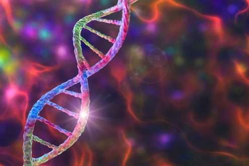 Study: Functional variants identify sex-specific genes and pathways in Alzheimer’s Disease. Image Credit: Kateryna Kon / Shutterstock.com