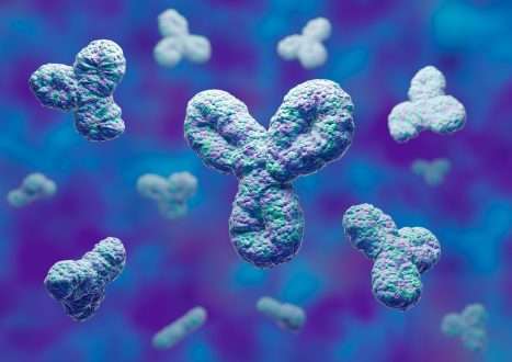 Study: Fully synthetic platform to rapidly generate tetravalent bispecific nanobody–based immunoglobulins. Image Credit: Adao / Shutterstock.com
