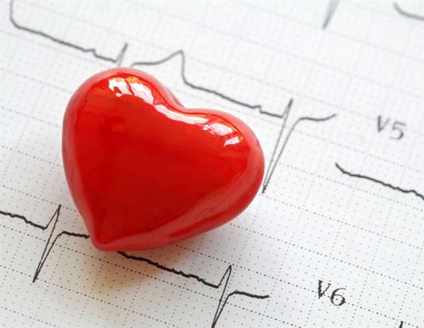 محققان بیان پروتئین های قلبی را در طول رشد قلب جنینی مشخص می کنند