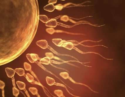 محققان یک آزمایش تشخیصی برای شناسایی اسپرم عملکردی در مردان نابارور ایجاد کردند