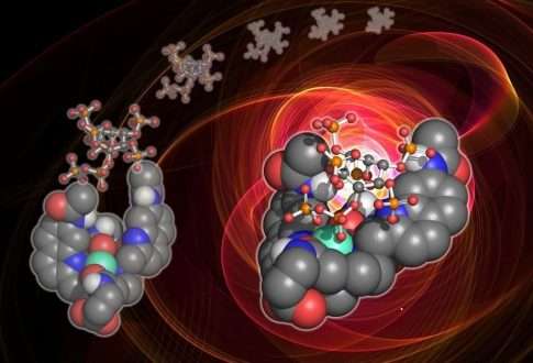 Scientists develop probe that could unlock the mysteries of a vital cellular messenger and pave the way for new drug discoveries