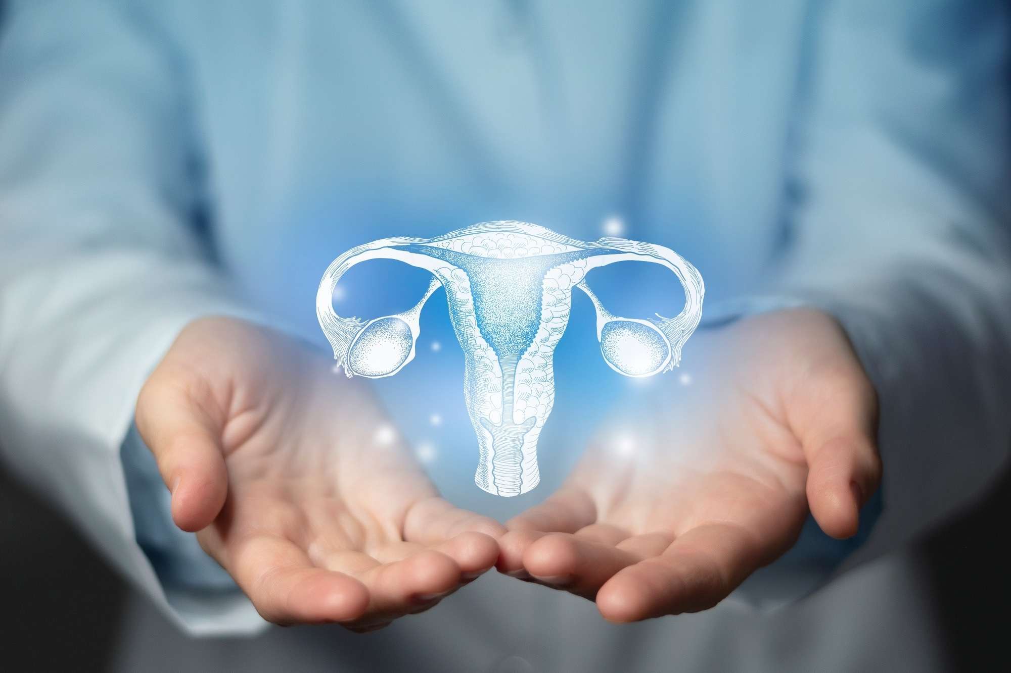 Study: The role of B cells in immune cell activation in polycystic ovary syndrome. Image Credit: mi_viri / Shutterstock.com